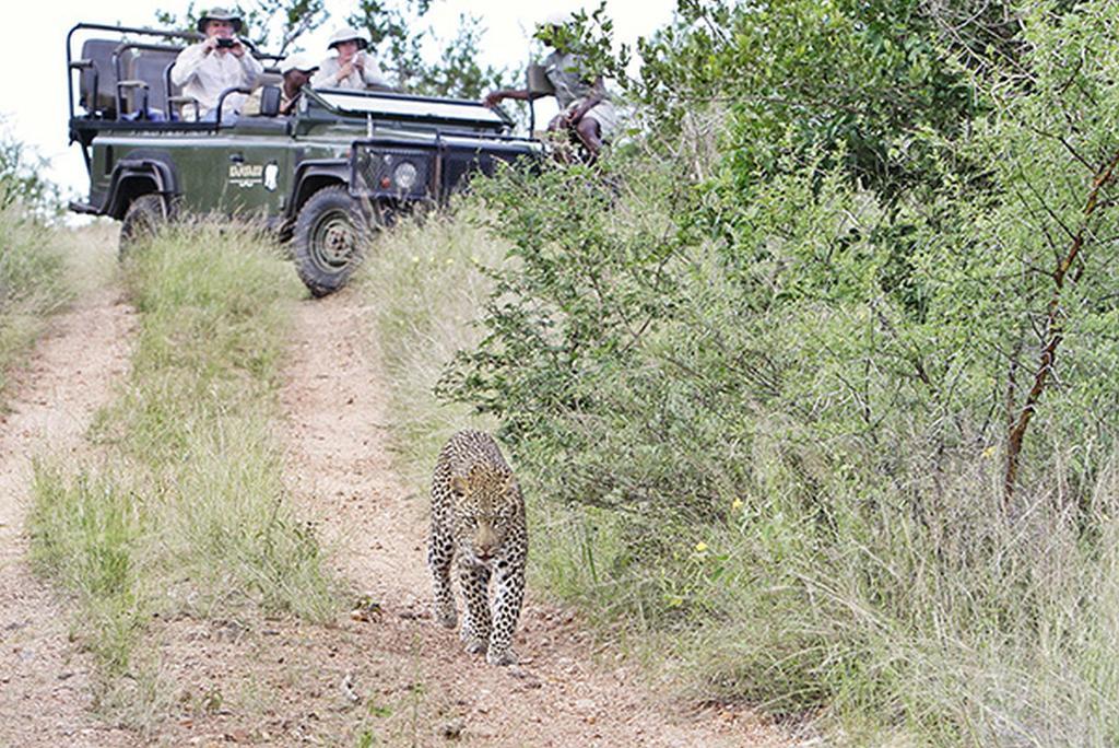 Kambaku River Sands Reserva Timbavati Exterior foto